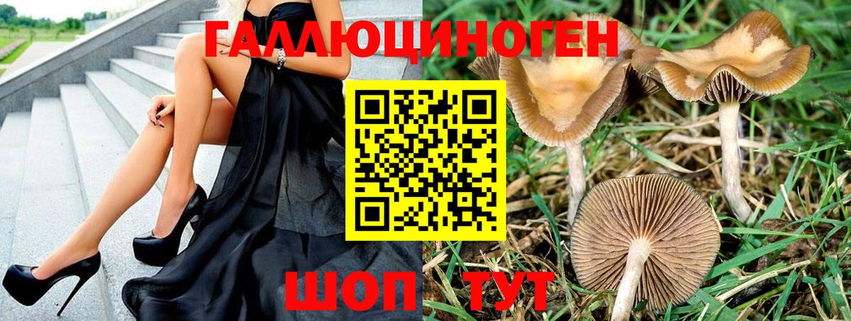 Рубцовск  Псилоцибиновые грибы Cubensis  Галлюциногенные грибы ЛСД  Вход с VPN 